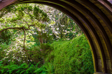 Japanese Tea Garden, Golden Gate Park, San Francisco, California, USA