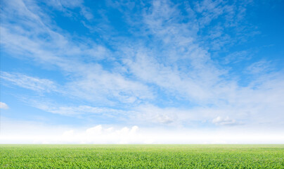 The white clouds have a strange shape and country side.Cloudy and blue sky.Cloud and...