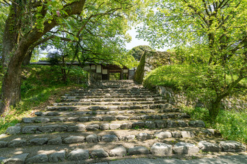 新緑の秋月城跡_福岡県朝倉市（秋月城）