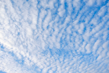 White cloudy with a blue  sky.Wave clouds on the sky.Fluffy cloud