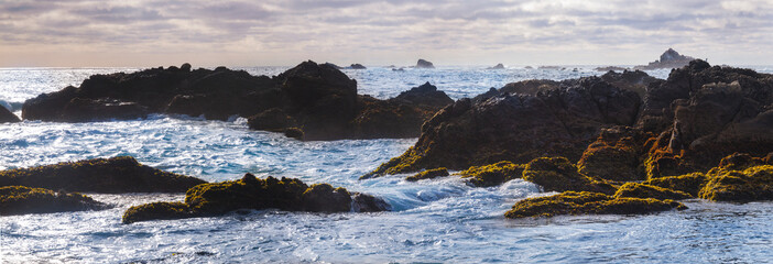 Point Lobos State Natural Reserve, California, USA