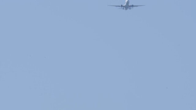 飛行機