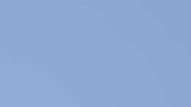 飛行機