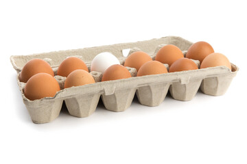 one dozen eggs, eleven brown, one white, in a cardboard egg carton isolated on white