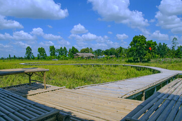 Fototapeta na wymiar Bamboo bridge and floor with slitter in the field