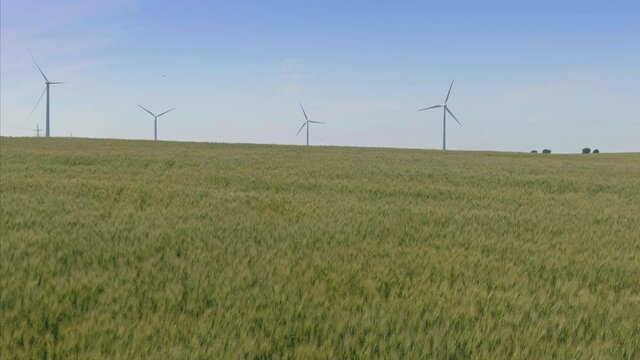 Aerial: Wheat field & wind turbines on a farm in Kansas, USA