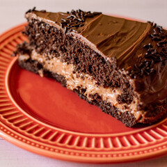 piece of chocolate cake