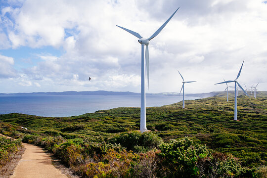 Wind turbines at the Albany Wind Farm, Western Australia