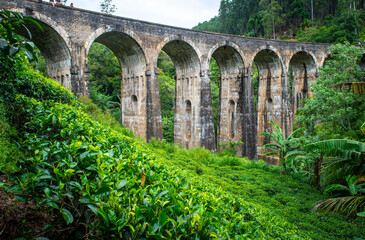 Fototapeta na wymiar View of Nine Arch Bridge a very picturesque spot in Ella, Sri Lanka. Ella is a mountain town in the Central Highland of Sri Lanka surrounded by the beautiful greens of tea plantation field.