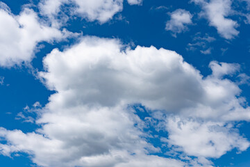 雲