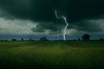  Strong lightning over harvesting rice field in monsoon season © athapet