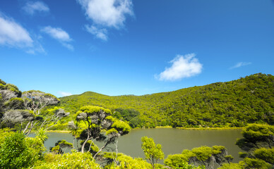 Peaceful Place and Calm Water at Waimanu Lake Bethells Beach Auckland New Zealand