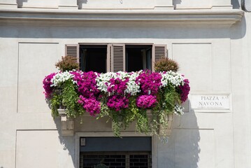 Fototapeta na wymiar Classic 2 windows italian balcony with big lush flower bouquets under sunlight