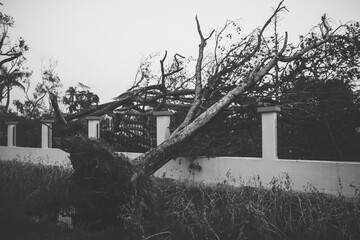 After effect of the tropical super cyclone Amphan.