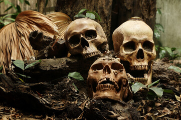 Pile of skulls on old timber in dark tone./ Still life and art image..