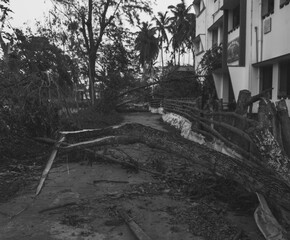 After effect of the tropical super cyclone Amphan.