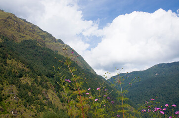 Beautiful tropical landscape of Mount Nepal Himalayas
