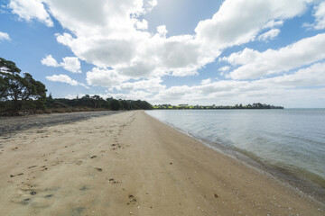 Landscape Scenery of Awhitu Regional Park Beach during Low Tide; Kauritutahi Beach; Auckland New Zealand