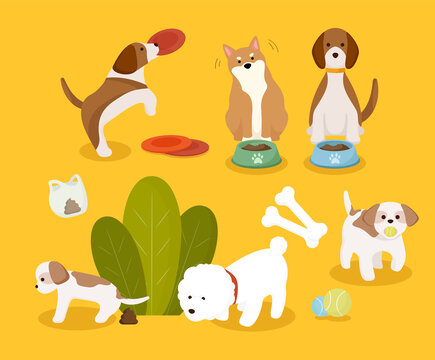 various dog and toy illustration set. animal, puppy, adorable, pet. Vector drawing. Hand drawn style.