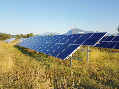 sollar panels on a field with grass in the morning