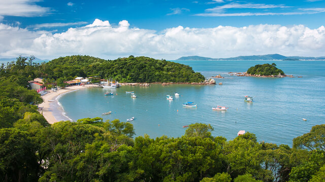 Ba&iacute;a dos Golfinhos - Santa Catarina - Brasil