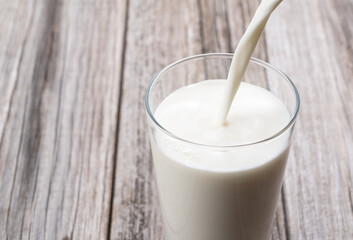 Pouring milk into a glass set against the backdrop of an old tree