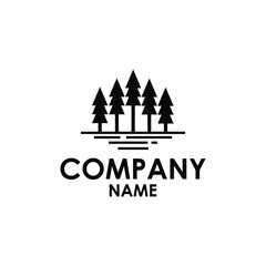 Fototapeta premium pine evergreen fir hemlock spruce conifer cedar coniferous cypress larch pinus tree