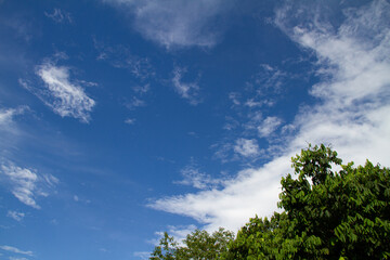 Obraz premium The background is a blue sky with white clouds