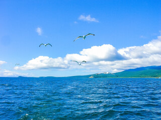 View of Lake Baikal, in summer in the light of day