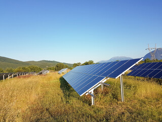 sollar panels on a field with grass in the morning