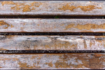 Old wooden wall, wood texture, grunge wood panel, for background.