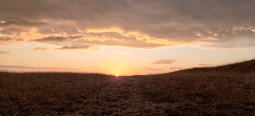 Obraz premium sunset over the field