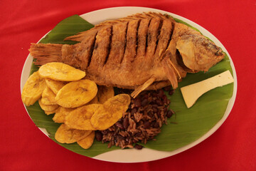 Fried Central American fish with plantain chips, rice and beans, honduran cheese. Taken in Lago de Yojoa, Honduras, La Naturaleza, Panacam, food from Honduras
