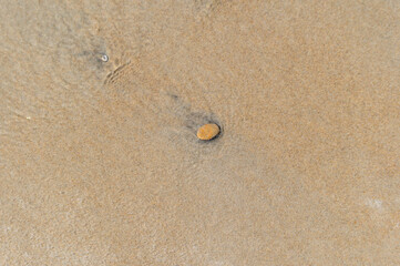 Sand with Pebble and Wave marks