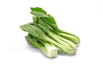 Bok choy isolated on white background.   Chinese cabbage (Bok choy, Pak choi or Pok choi) fresh green leaves vegetable from Organic vegetable farm