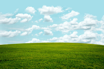 Fototapeta na wymiar Beautiful grass hill and fresh air , making the world a green place