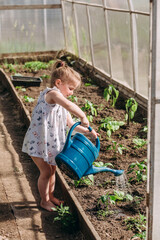 A girl of European appearance takes care of plants. A three-year-old child works in a greenhouse, watering a watering can with vegetables. Gardening and agriculture