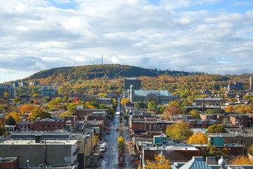 Fototapeta premium High view on Mount Royal and nearby district Plateau above Rachel street and roofs, which goes away into perspective to the mount.