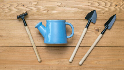 Blue watering can and a set of shovels on a wooden background.