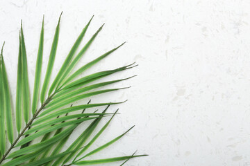 Tropical green leaves on white quartz countertop with copy space, flat lay