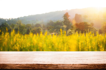 Empty wooden desk space platform and blurred field or farm background for product display montage.