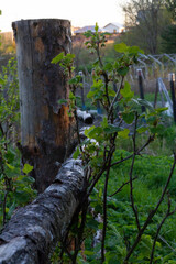 View of the village. Old fence on a blurred background.