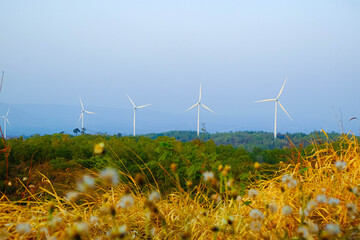 Beautiful view of Wind Turbine n summer day. Clean energy for every day.