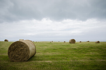 Harvested field with straw bales in winter