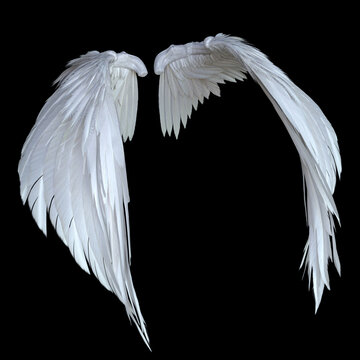 3D Rendered White Fantasy Angel Wings Isolated On Black Background - 3D Illustration
