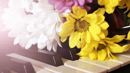 Spring colored daisies and piano so close