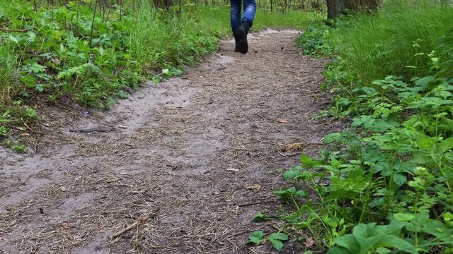 Hiker with black boots and blue jeans walking on forest trail in summer. Low angle view of walking away hiker on forest path on windy weather. 