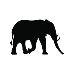 Obraz premium elephant silhouette vector