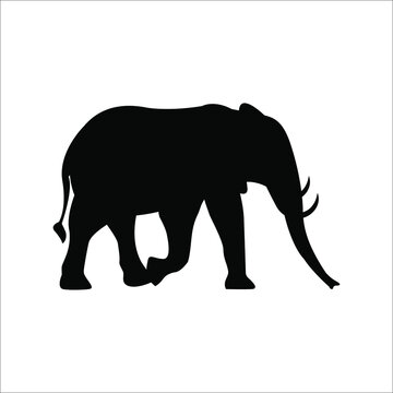 recommend clip art: elephant silhouette vector
