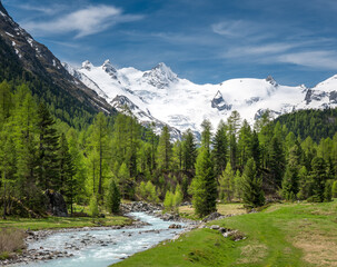 Obraz premium Wildbach Ova da Roseg im naturbelassenen Val Roseg, Engadin